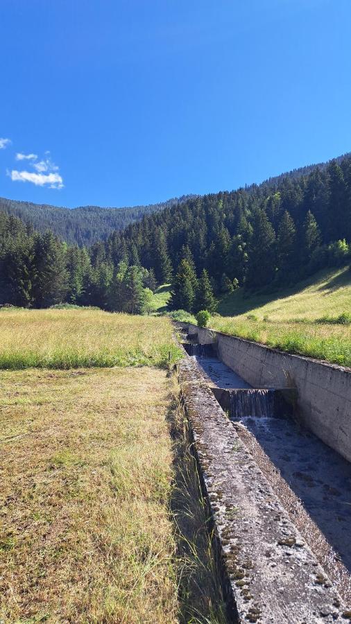 Residence Raethia Tra Bormio E Livigno Pradelle エクステリア 写真